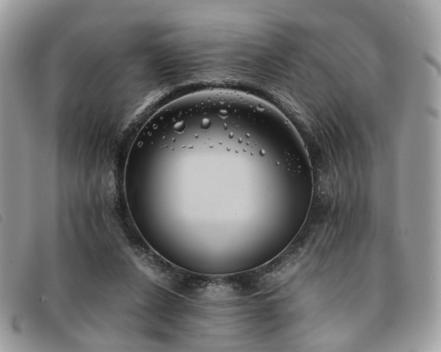 X0000091540256200708171251
