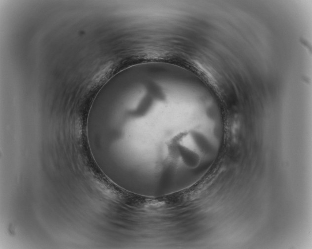 X0000091540257200708171251