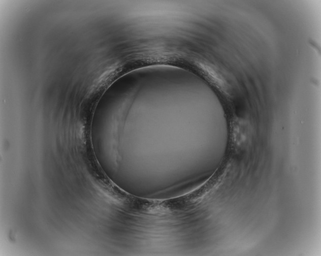 X0000091540258200708171251