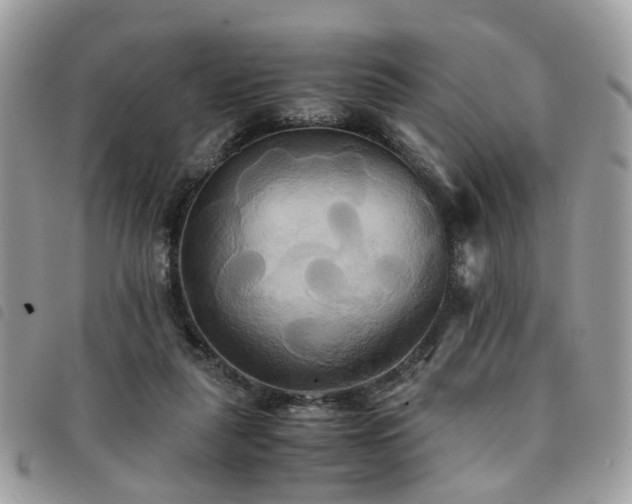 X0000091540259200708171251