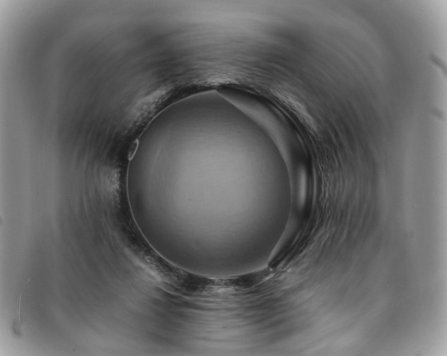 X0000091540260200708171251