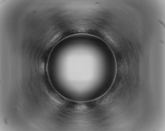 X0000091540262200708171251