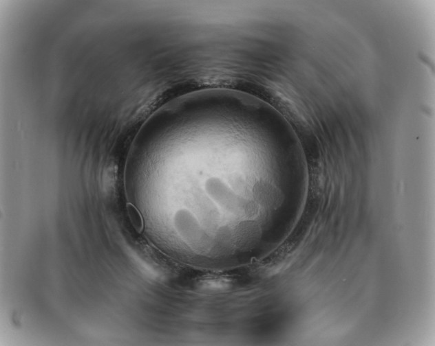 X0000091540263200708171251