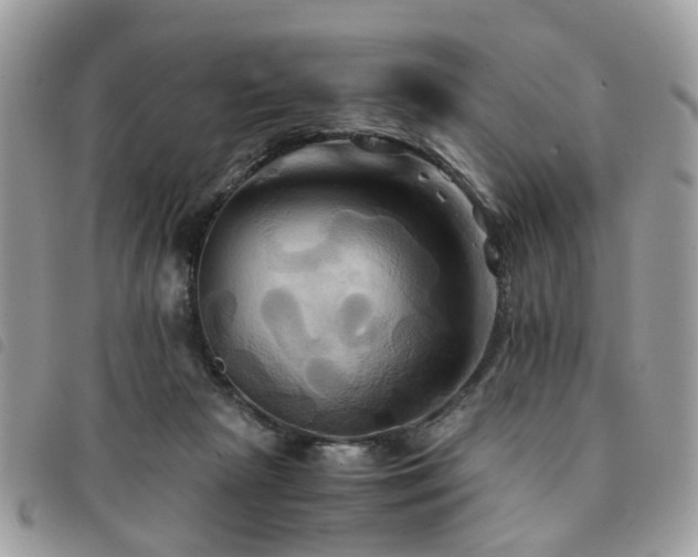 X0000091540265200708171251