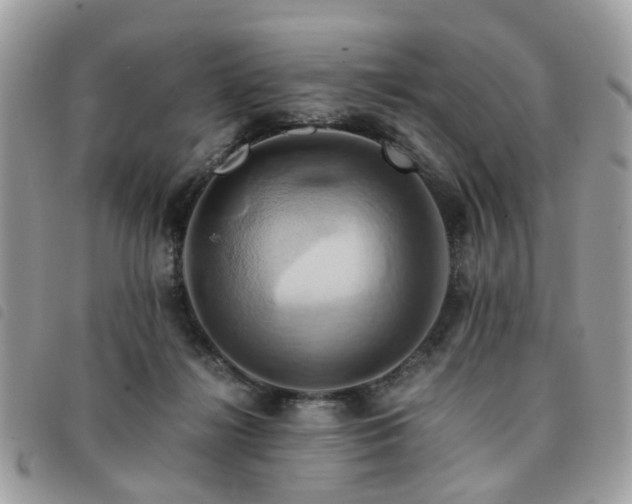 X0000091540268200708171251