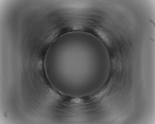 X0000091540269200708171251
