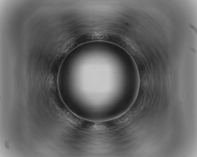 X0000091540270200708171251