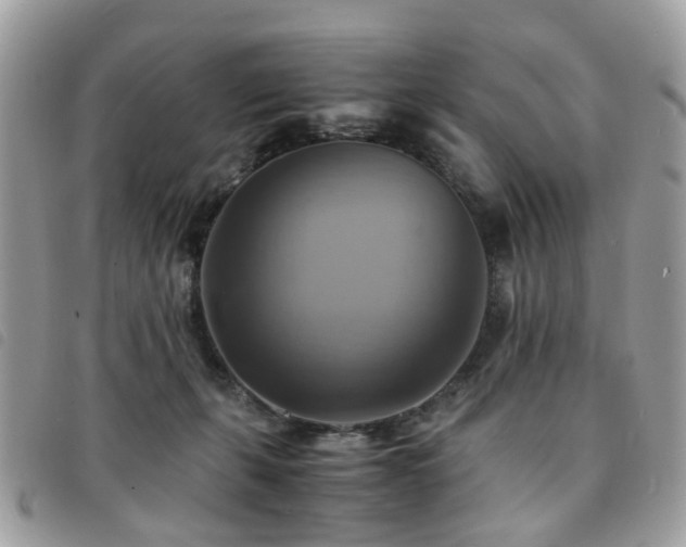 X0000091540271200708171251