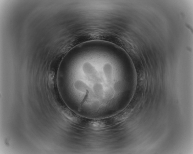 X0000091540275200708171251