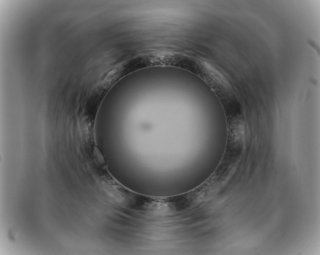 X0000091540276200708171251