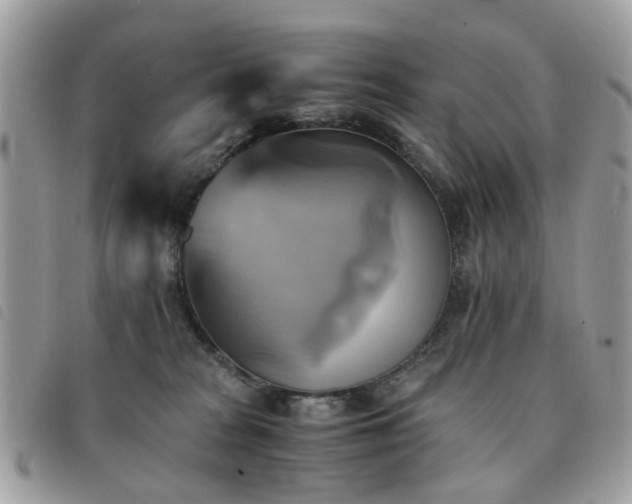 X0000091540277200708171251