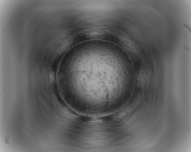 X0000091540278200708171251