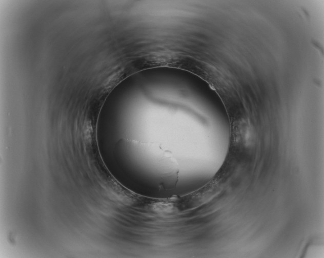 X0000091540279200708171251