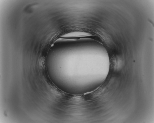 X0000091540280200708171251
