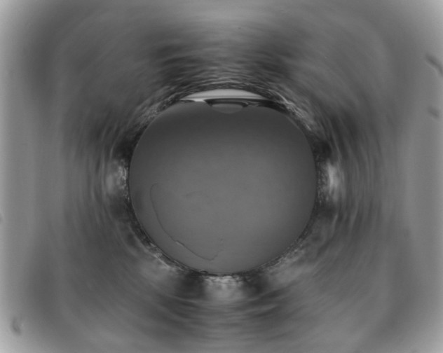 X0000091540281200708171251