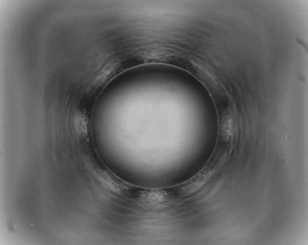 X0000091540282200708171251