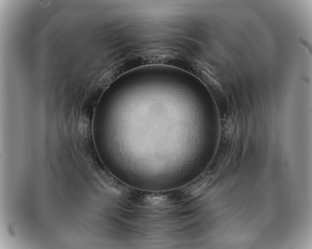 X0000091540283200708171251