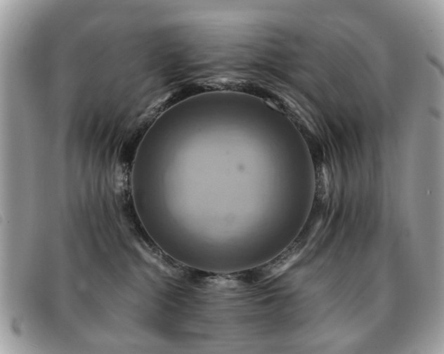 X0000091540284200708171251