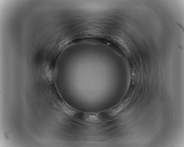 X0000091540285200708171251