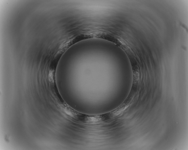X0000091540286200708171251
