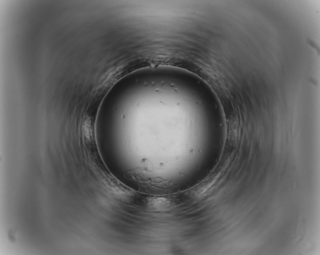 X0000091540287200708171251