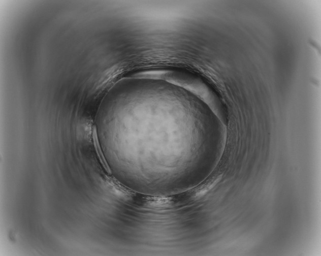 X0000091540288200708171251