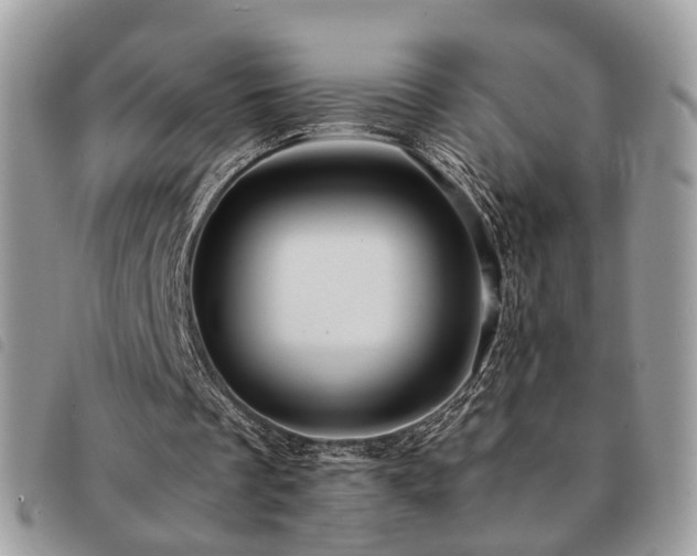 X0000091540289200708171250