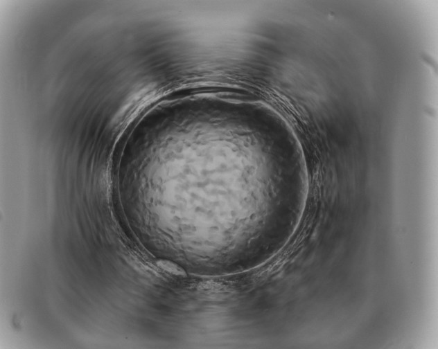 X0000091540290200708171250