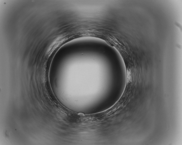 X0000091540291200708171250