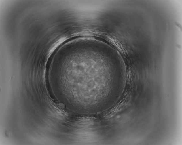 X0000091540292200708171250