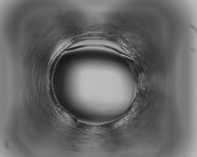 X0000091540293200708171250