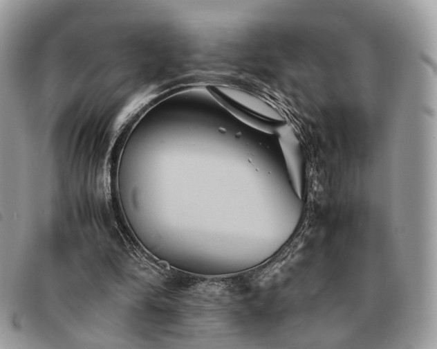 X0000091540294200708171250