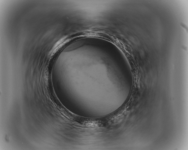 X0000091540295200708171250