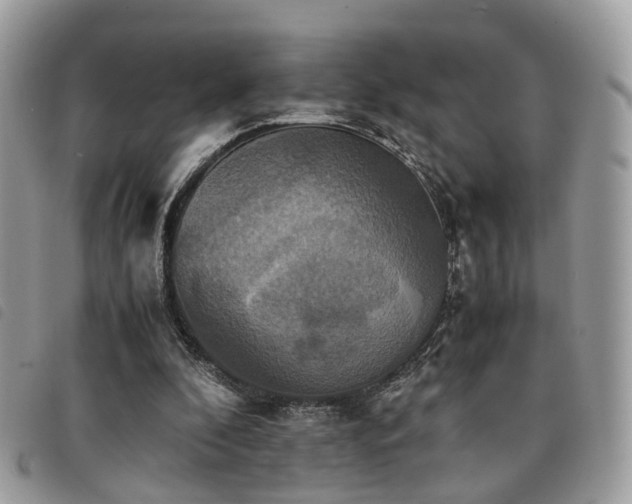 X0000091540296200708171250