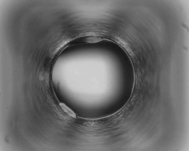 X0000091540297200708171250