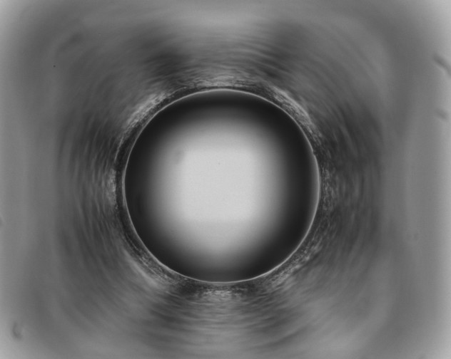 X0000091540298200708171250