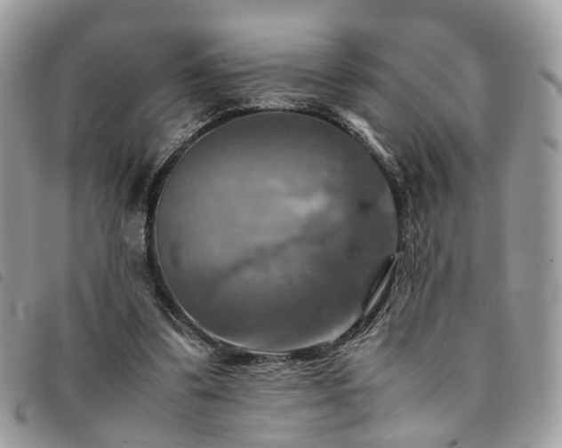 X0000091540299200708171250