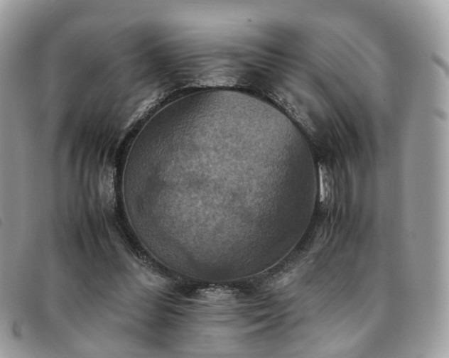 X0000091540300200708171250