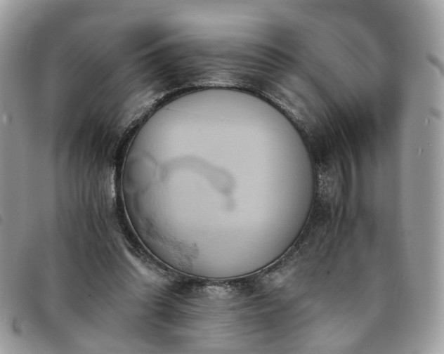 X0000091540302200708171250