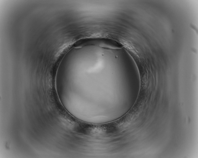 X0000091540303200708171250