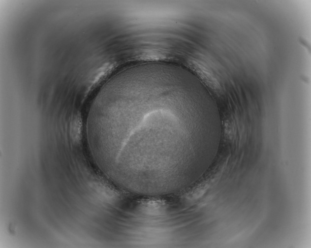 X0000091540304200708171250