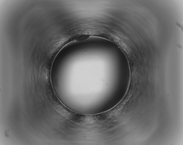 X0000091540305200708171250
