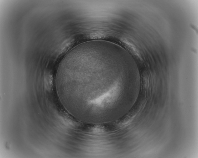 X0000091540308200708171250
