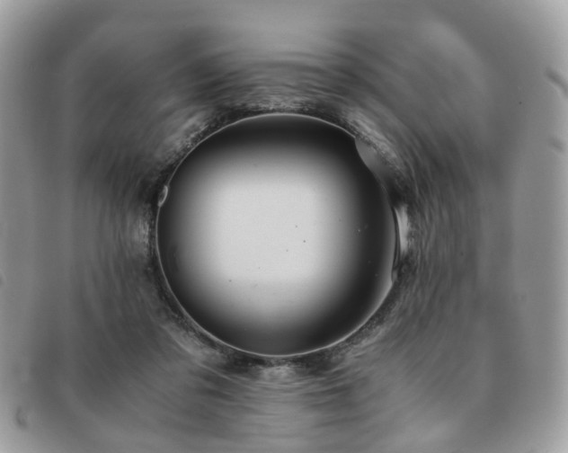 X0000091540309200708171250
