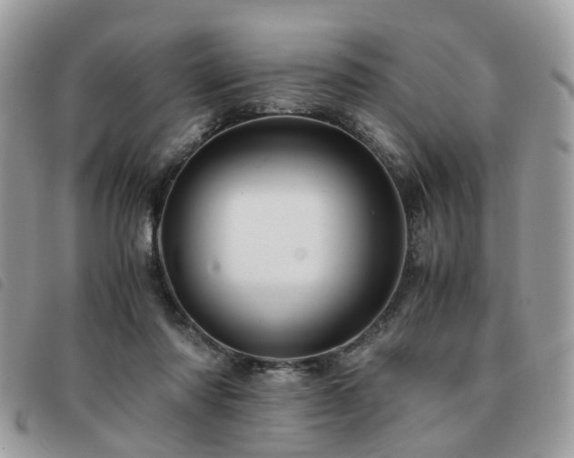 X0000091540310200708171250
