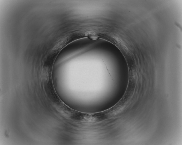X0000091540311200708171250