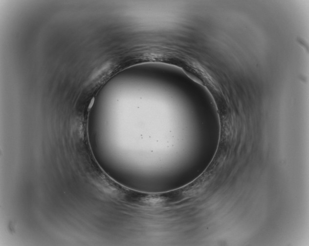 X0000091540313200708171250