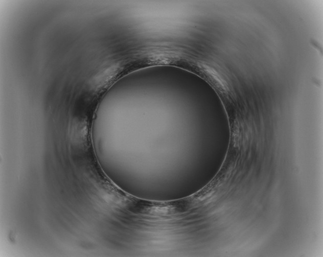 X0000091540314200708171250