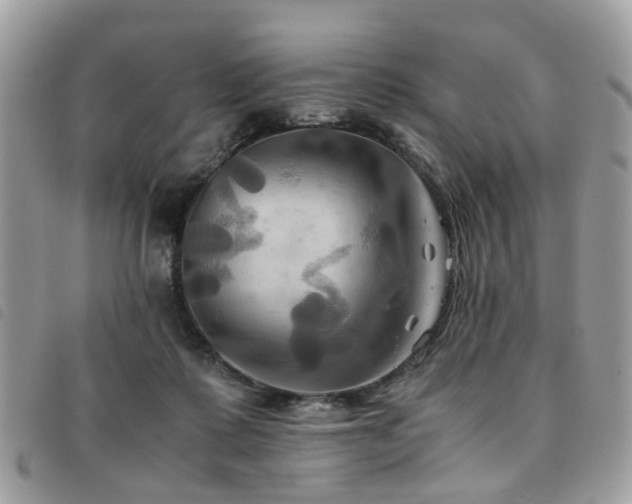X0000091540315200708171250