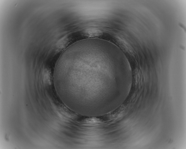 X0000091540316200708171250